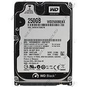Жесткий диск (HDD) Western Digital Black WD2500BEKX (SATA 3) 250 Гб