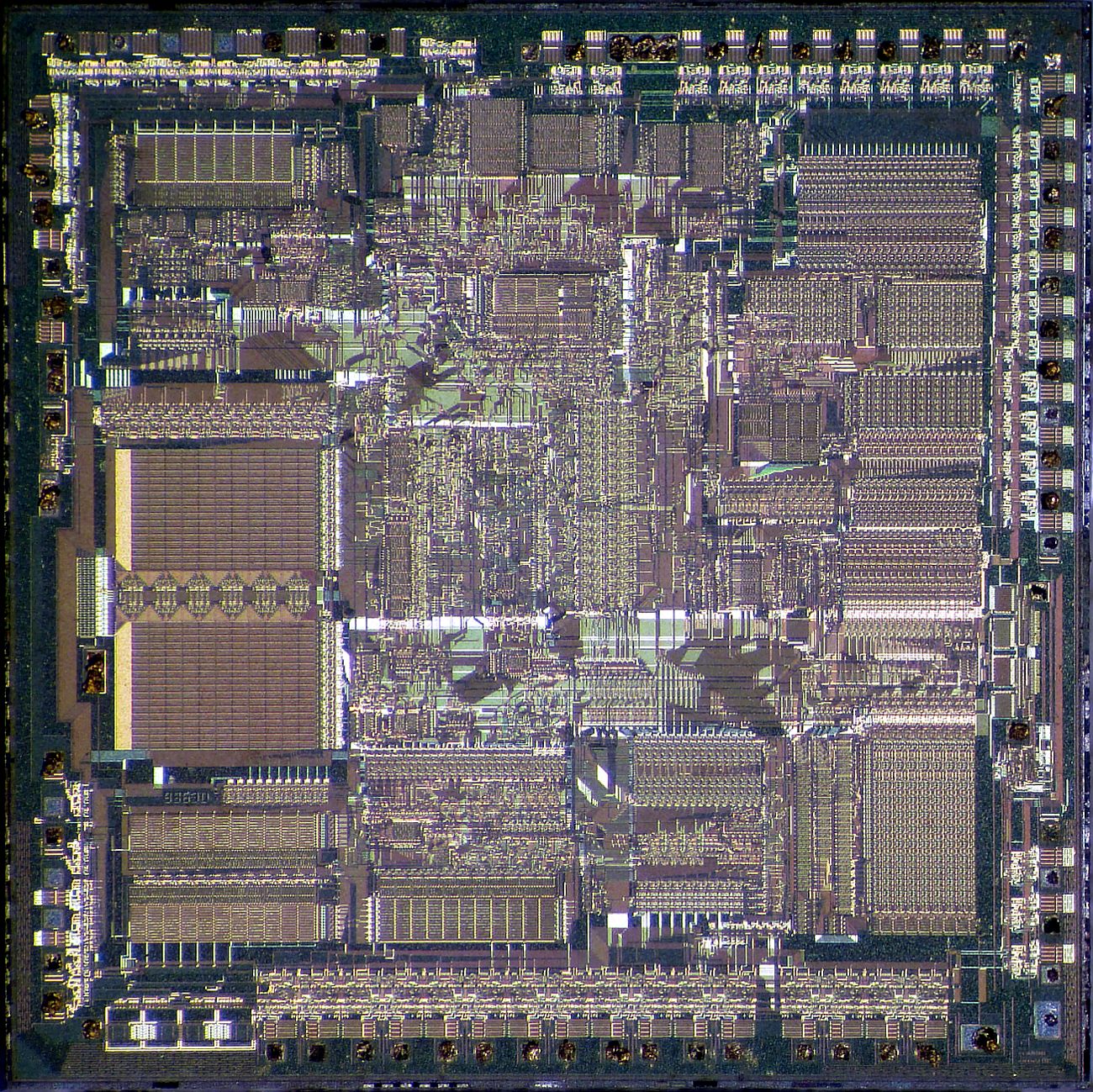 AMD Am286